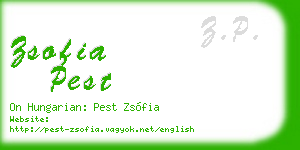 zsofia pest business card